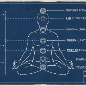 Seven Chakra System Blueprint